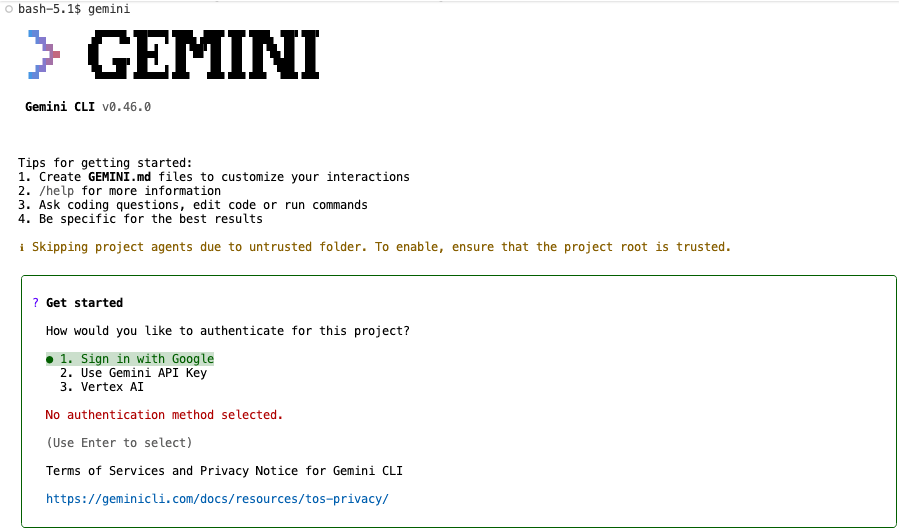 Gemini CLI login