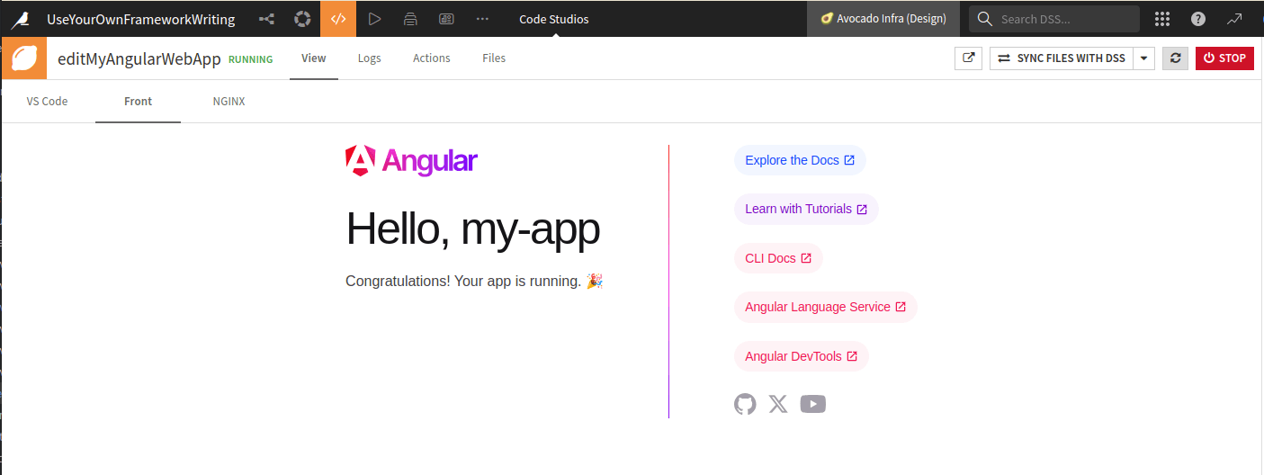 Figure 2: Starting Angular application for the first time.